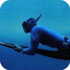 Подводная охота и дайвинг на Таити
